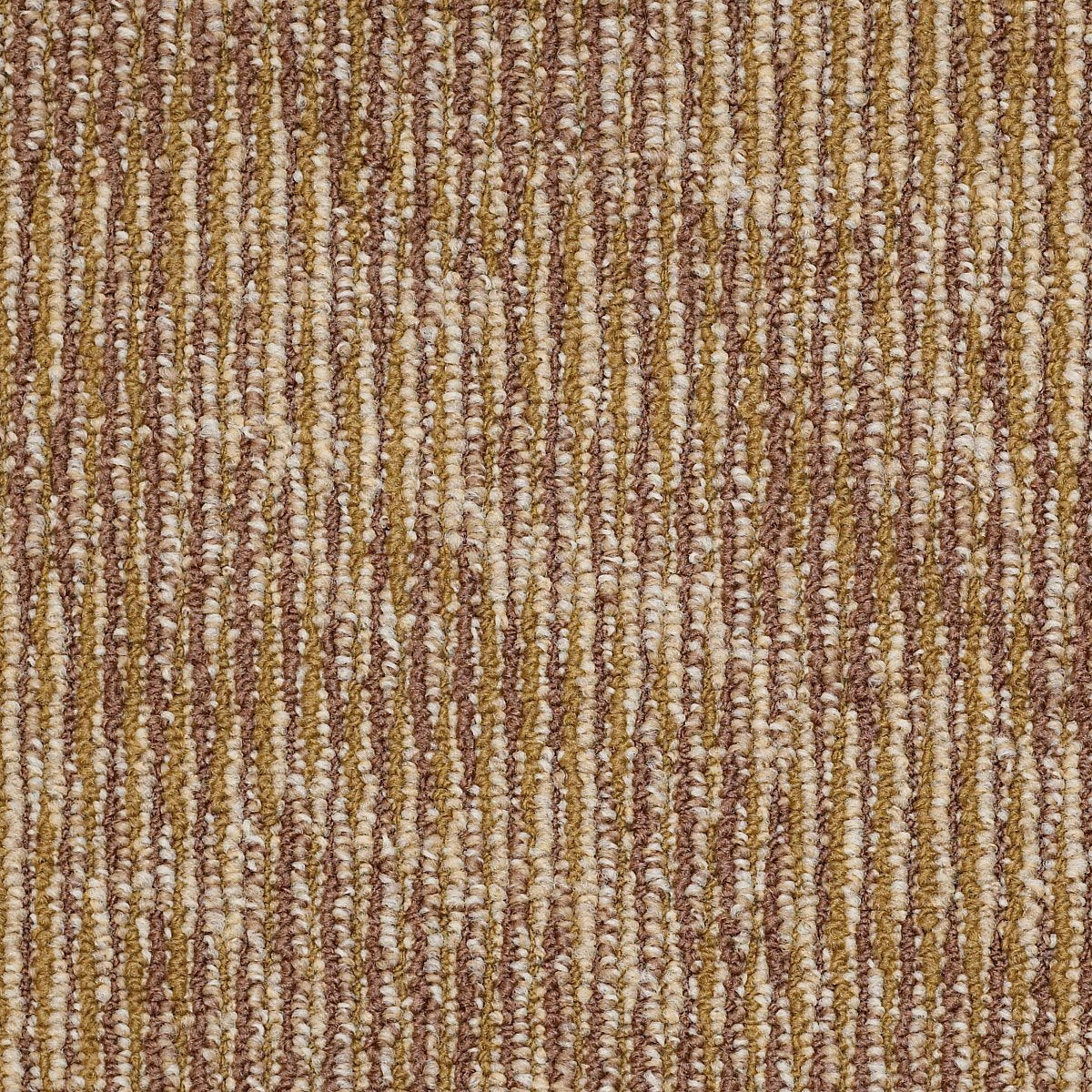 Ripple Effect Echo 00201