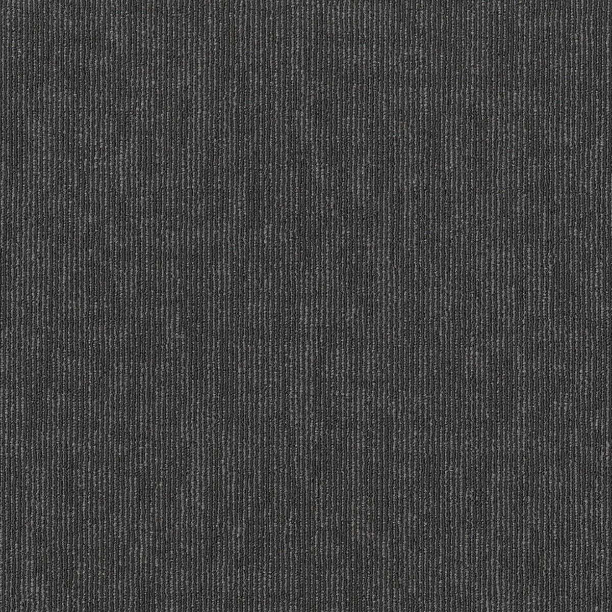 Semblance Inclination 00505