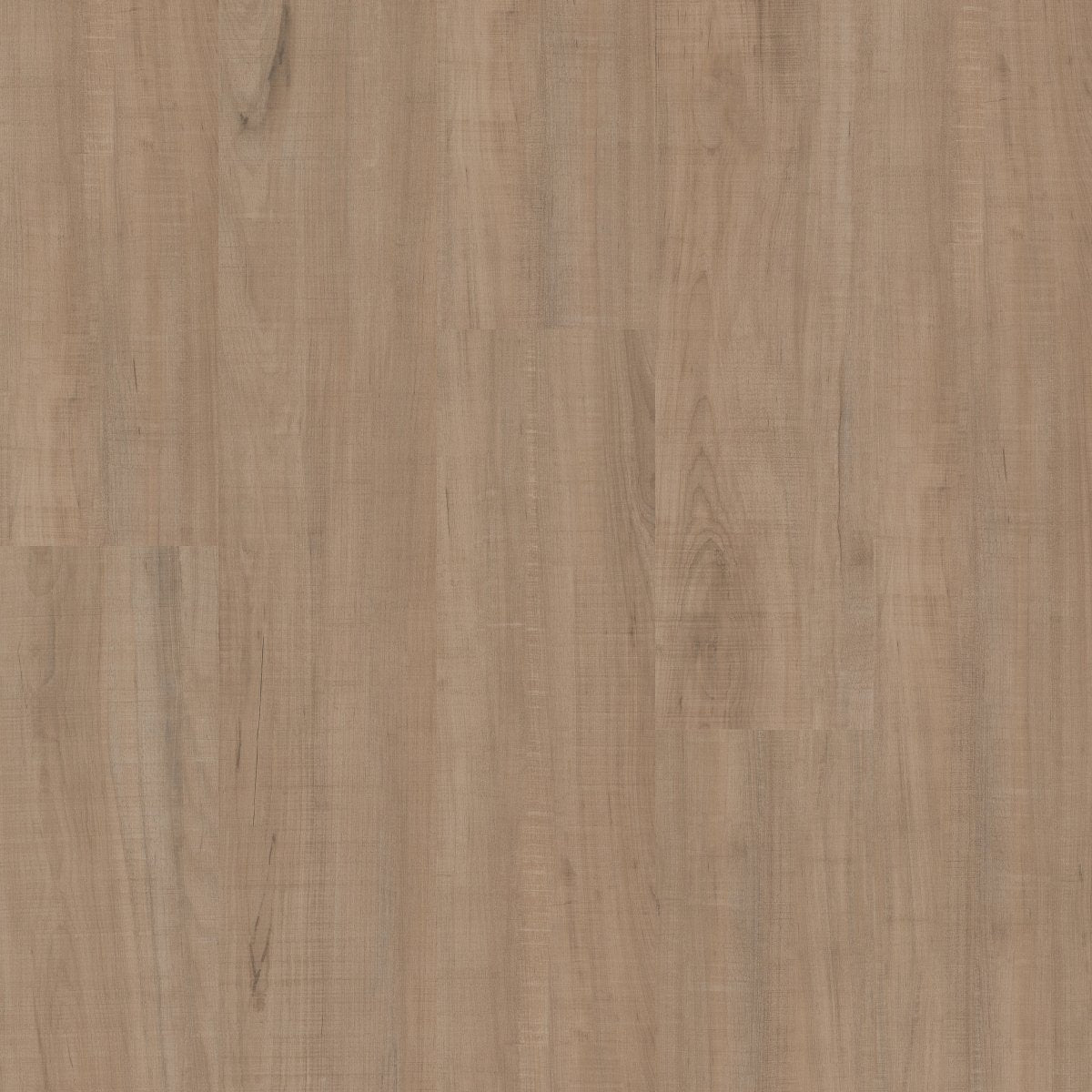 Setup Chatter Oak 00295