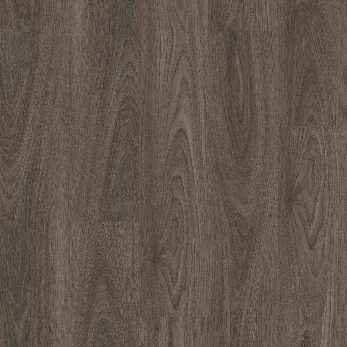 Setup Dark Elm 00915