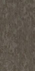 Shared Force Magnetic 93700
