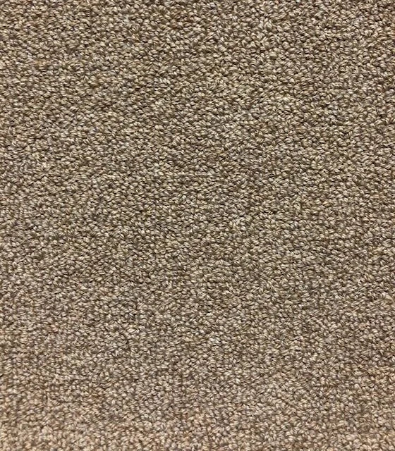 Cashew Whitfield Natural Textiles Broadloom Wool Carpet – Pure Nature 48 12 ft wide - GreenFlooringSupply.com