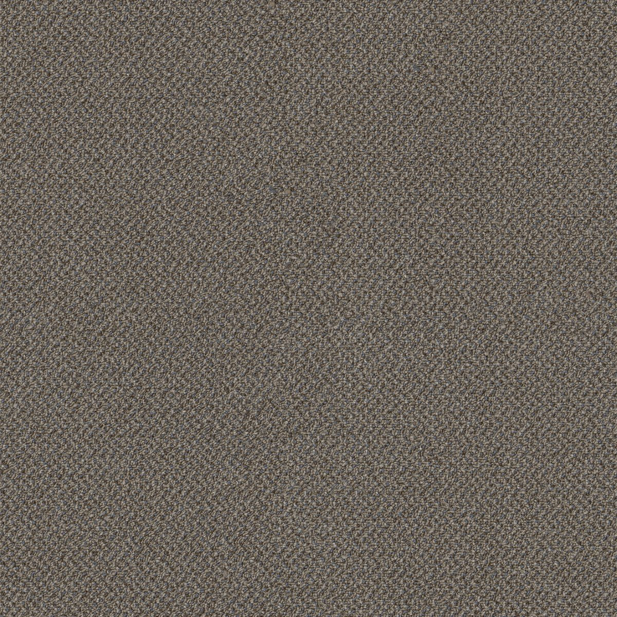 Small Wonder Exceptional 84104