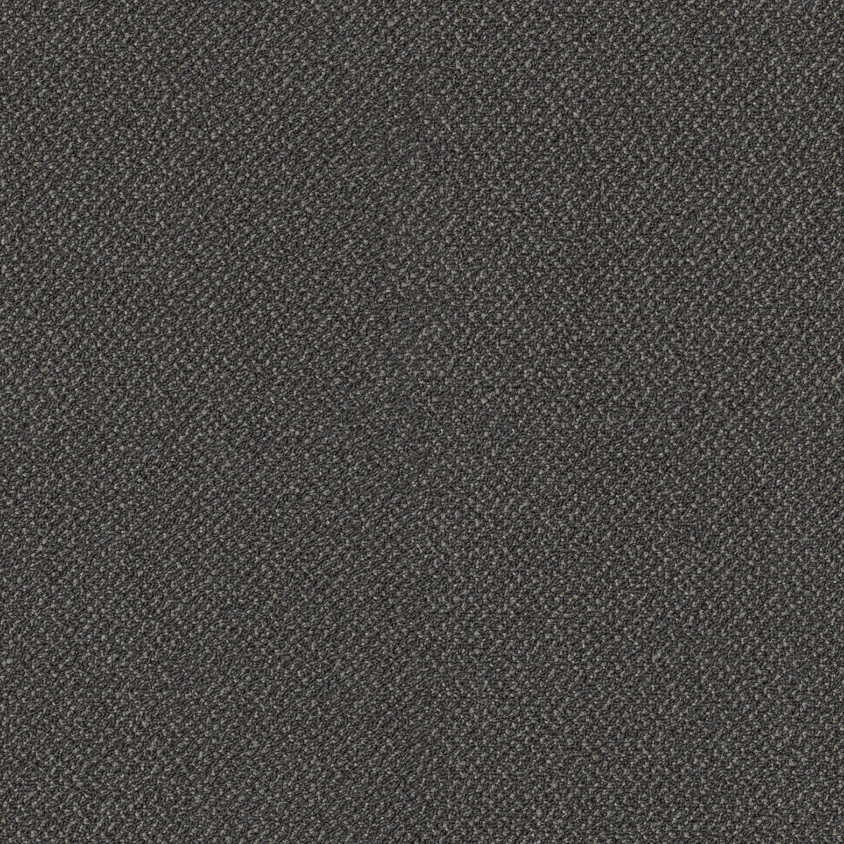 Small Wonder Incredible 84503
