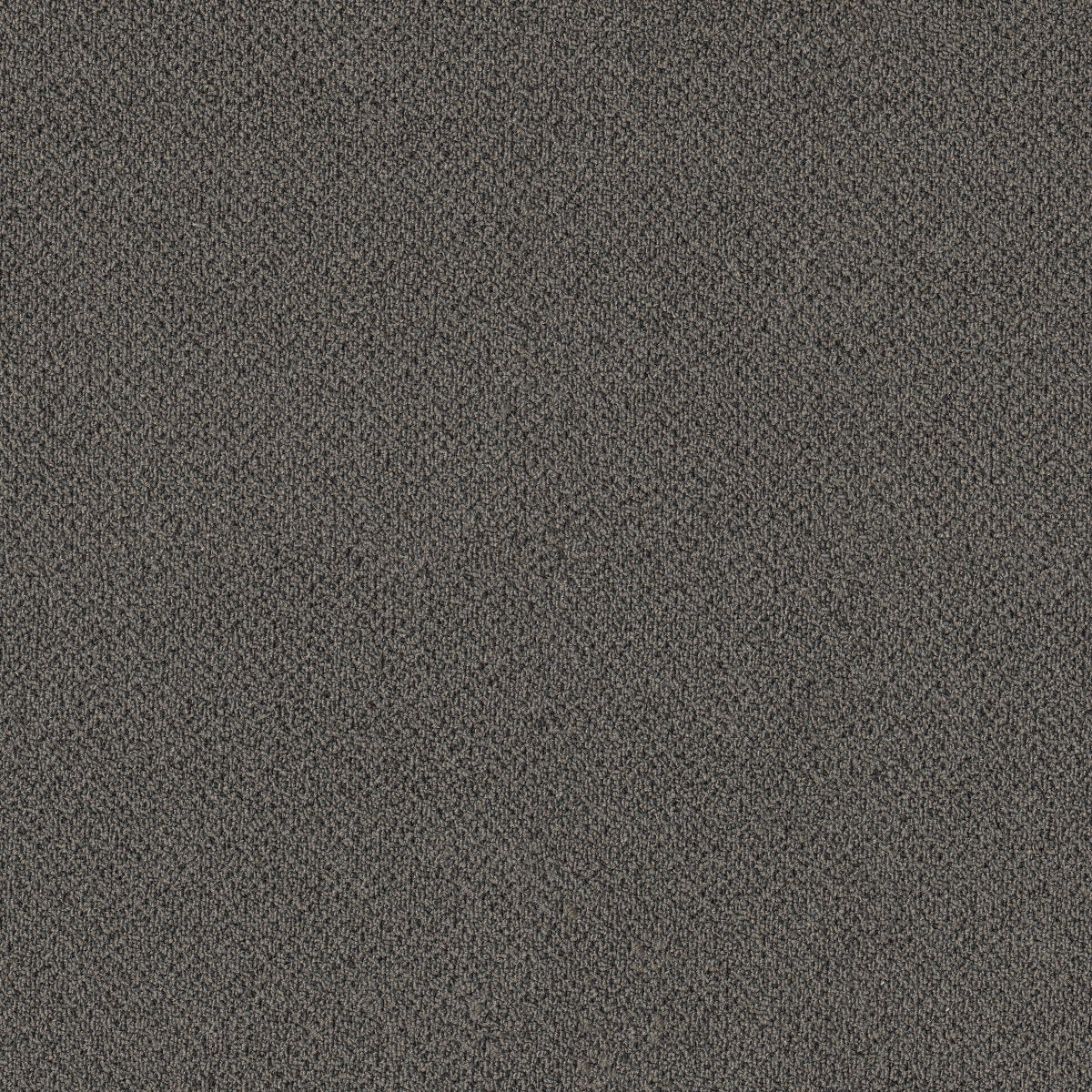 Small Wonder Notable 84505