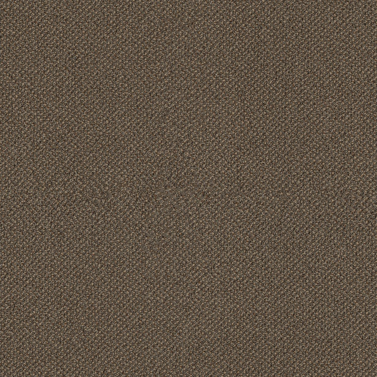 Small Wonder Special 84205
