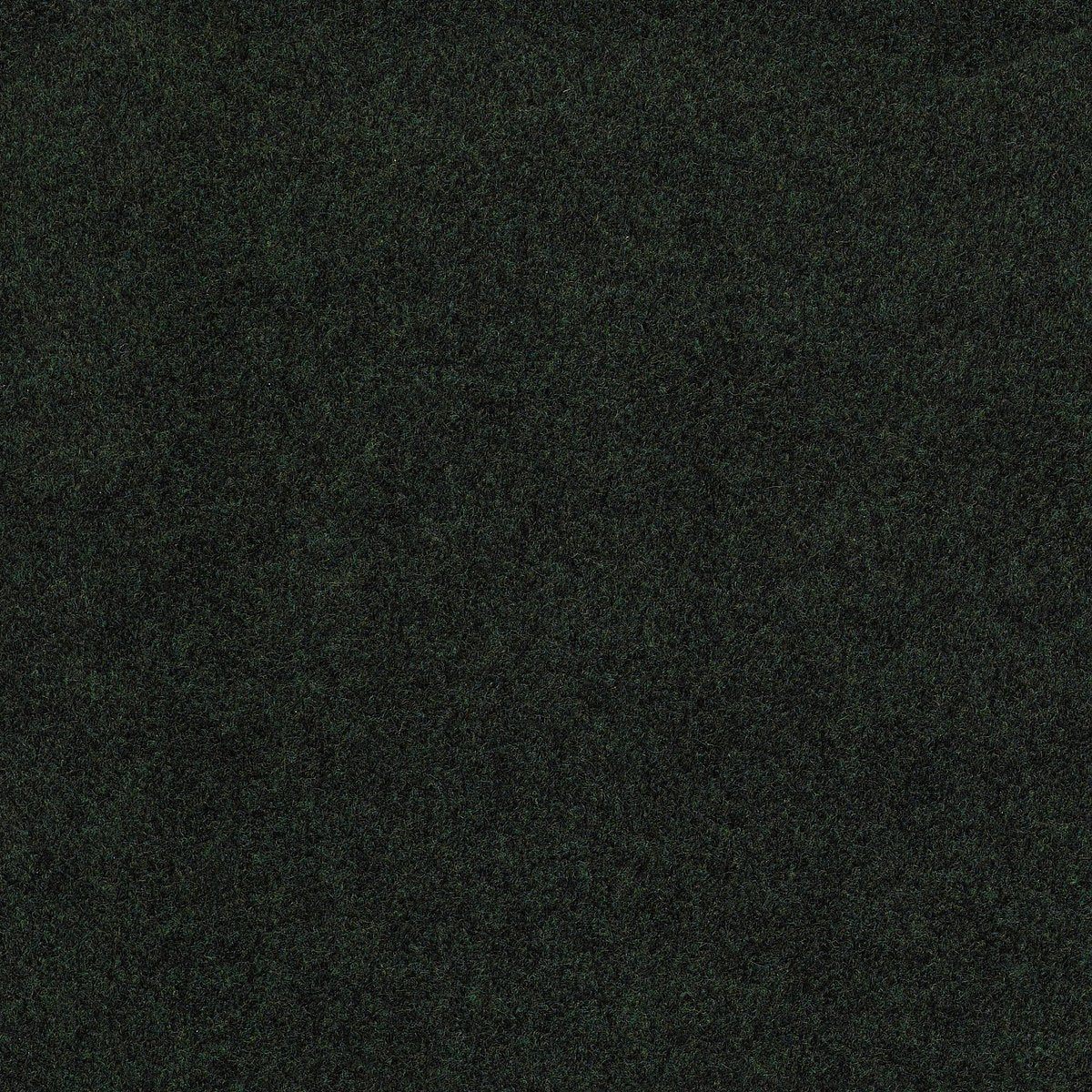 Softscape I 12 Forest Night 00300