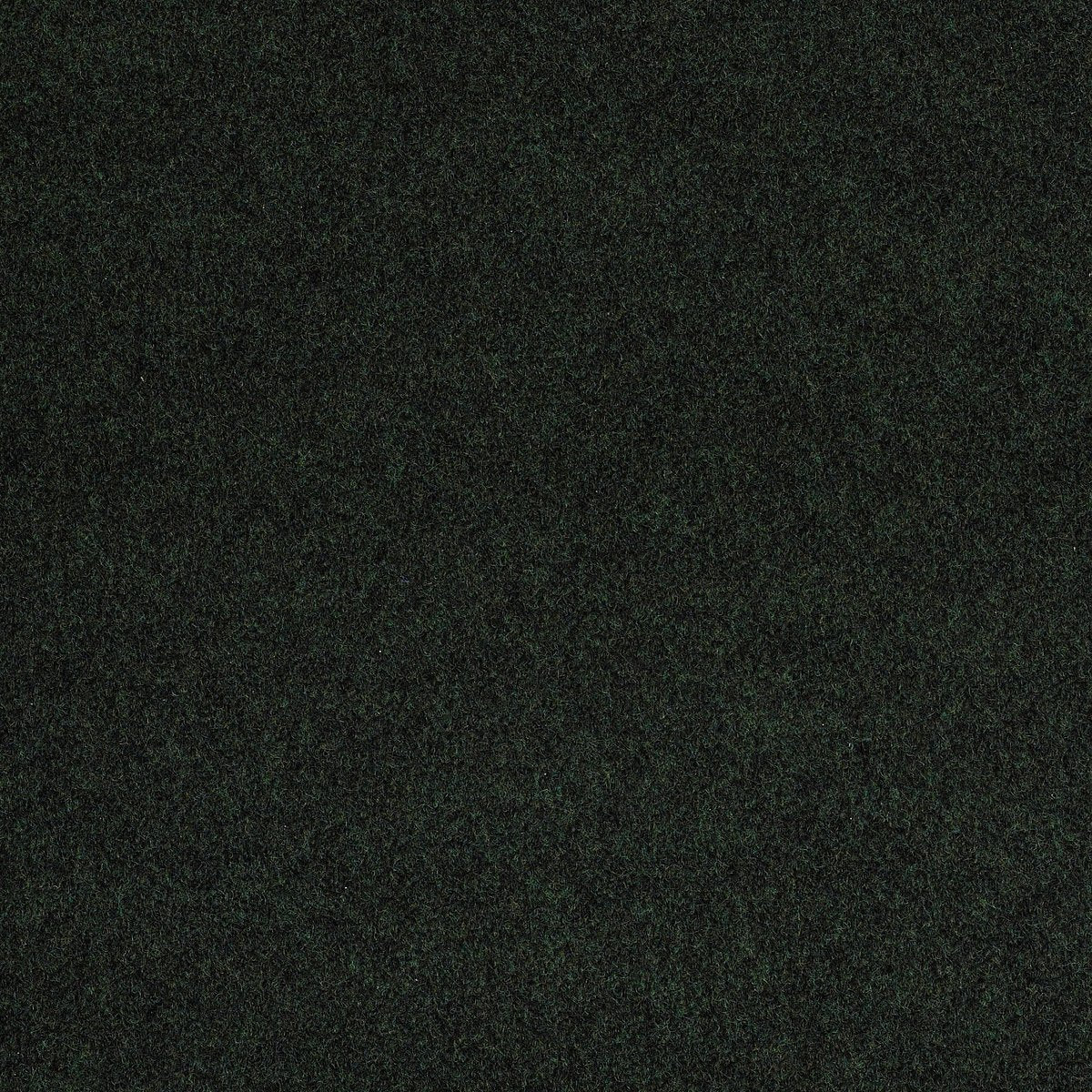 Softscape I 6 Forest Night 00300