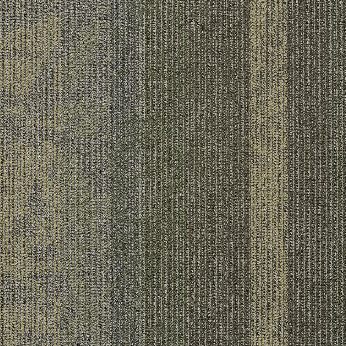 Static Signal 00303