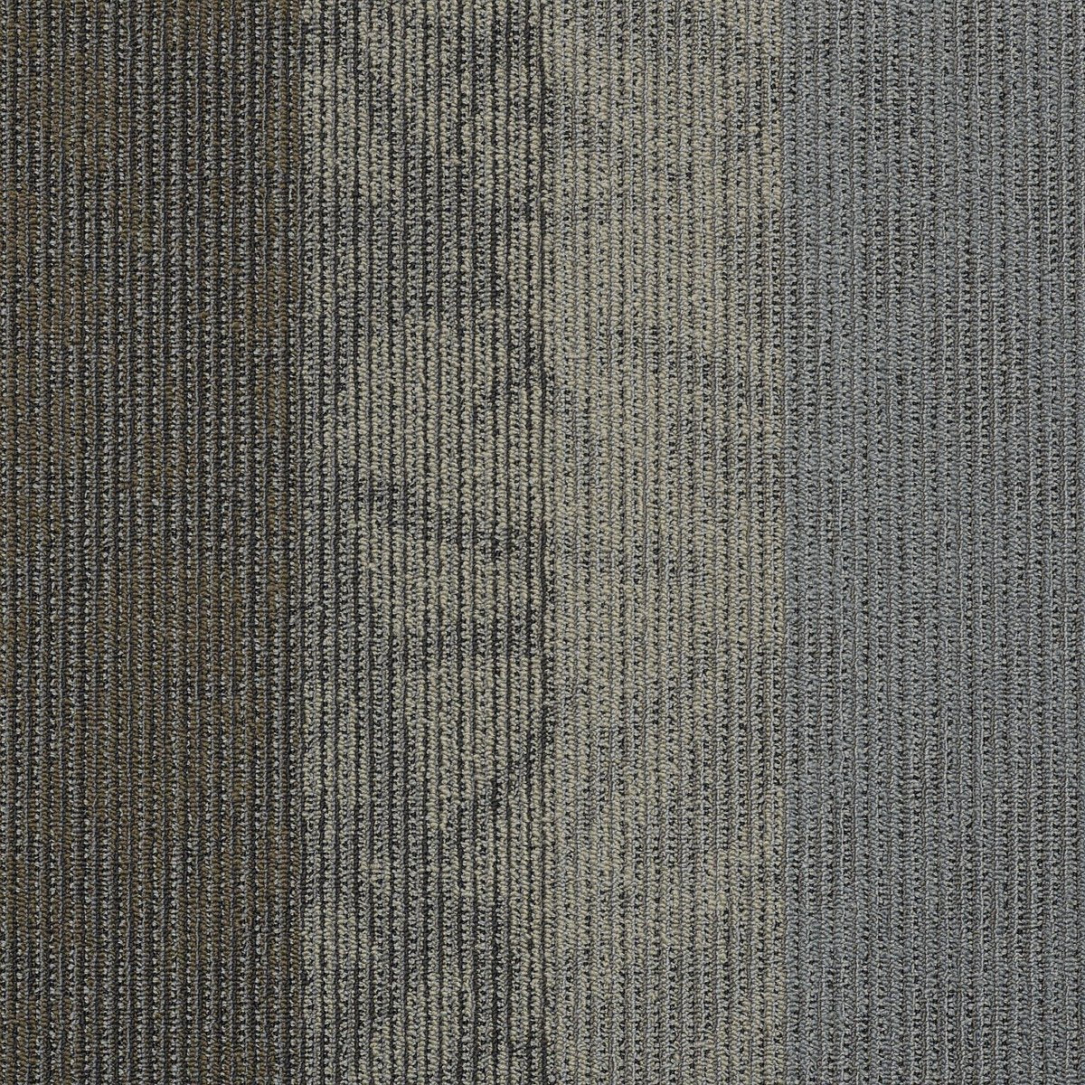 Static Velocity 00501