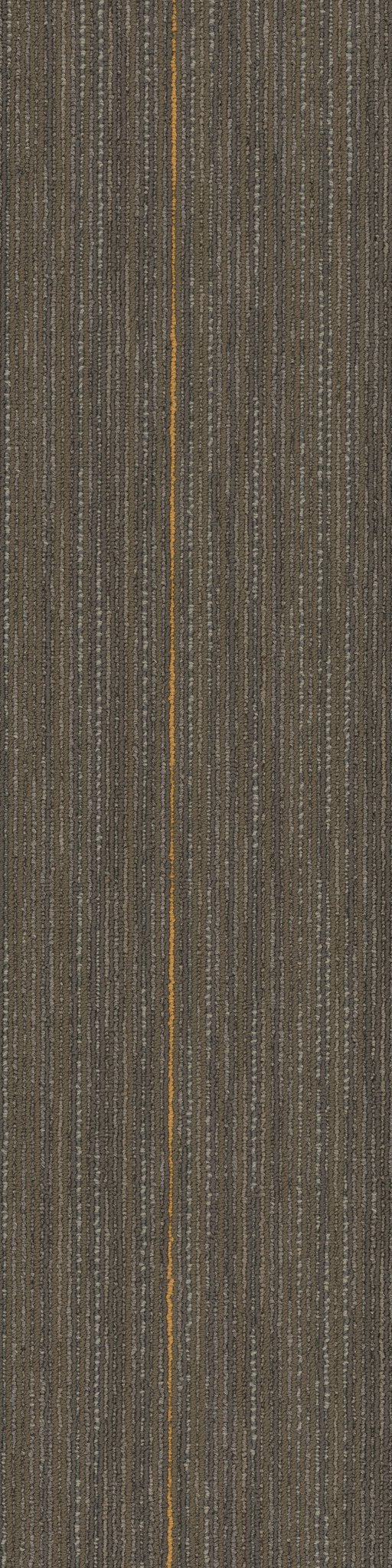 Stellar Formative 00700