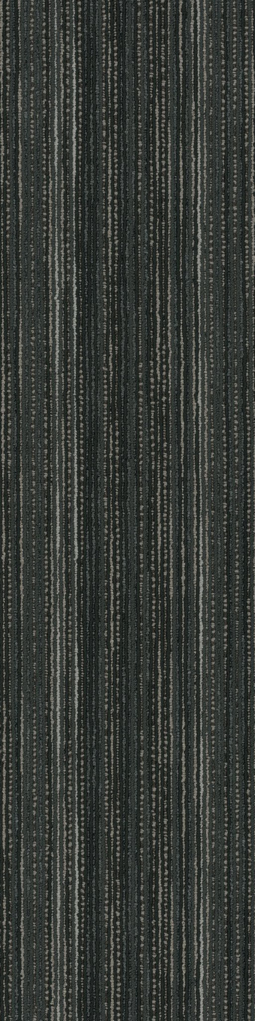 Stellar Shadowy 00505