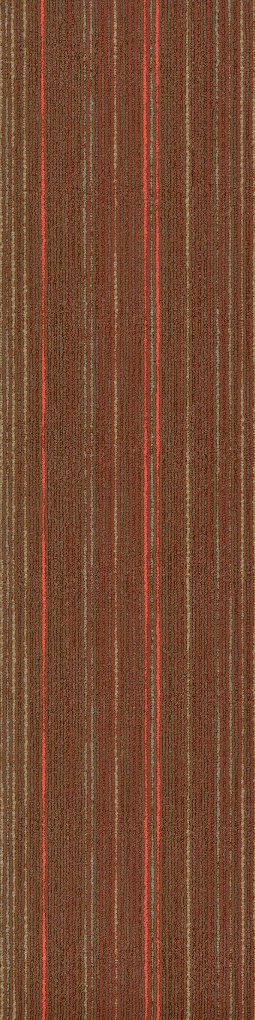 Stellar Vivid 00600