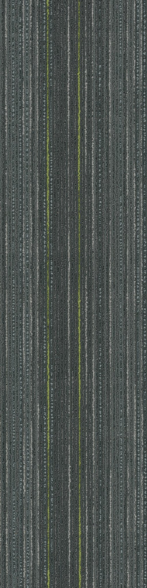 Stellar Whimsical 00504