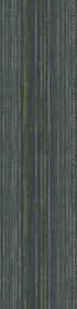 Stellar Whimsical 00504