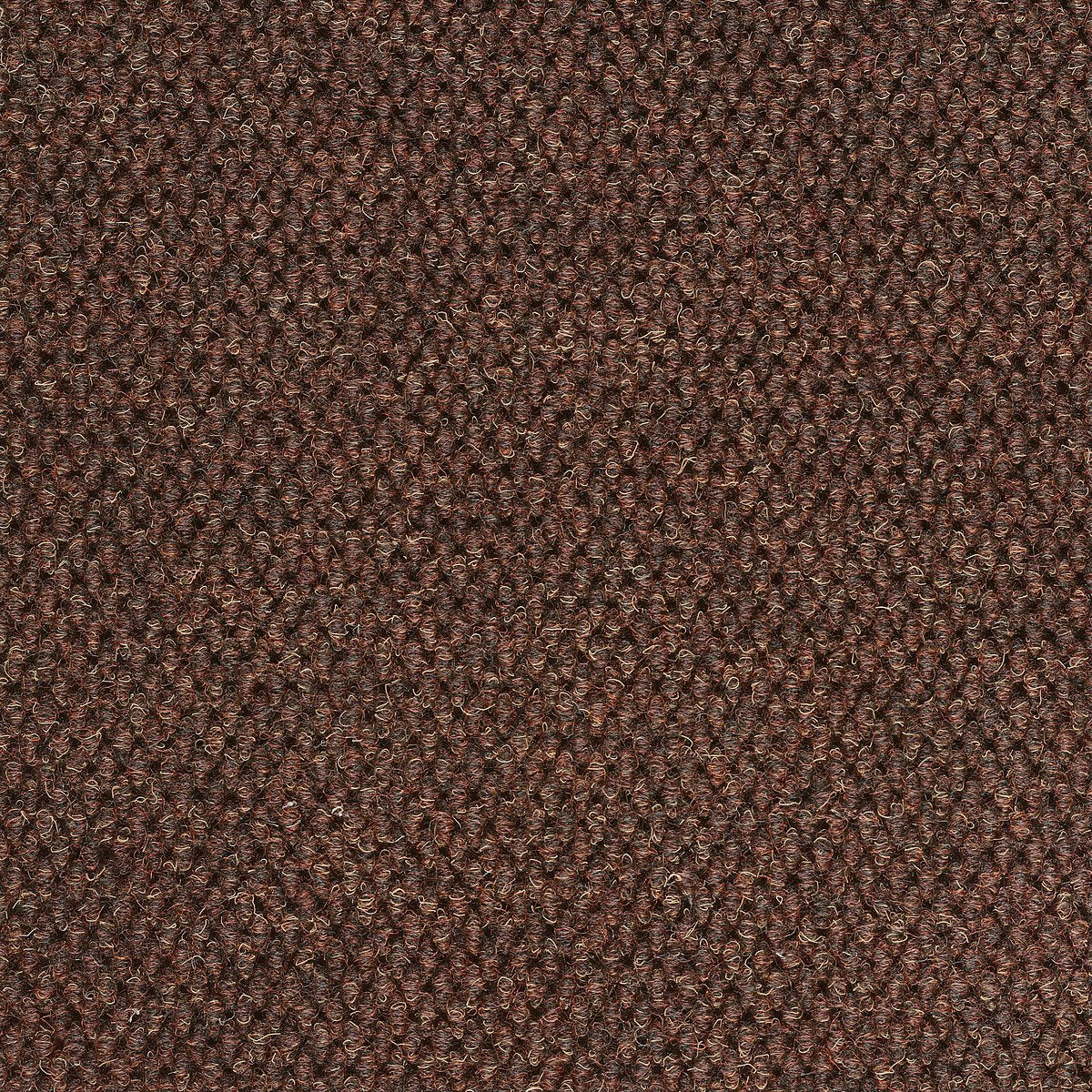 Succession II TL Dark Earth 00703