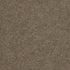 Succession II TL Sierra Sand 00700