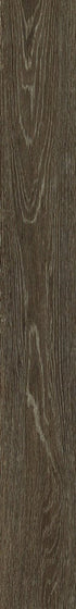 Symbiotic 12 Batik 00774