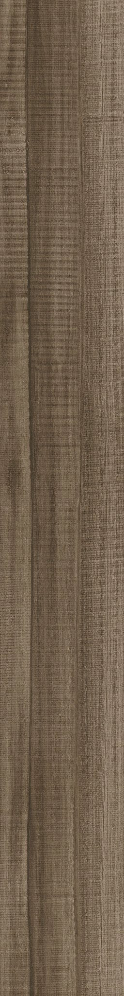 Symbiotic 12 Bronzite 07004