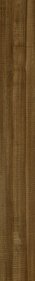 Symbiotic 12 Corten 07007