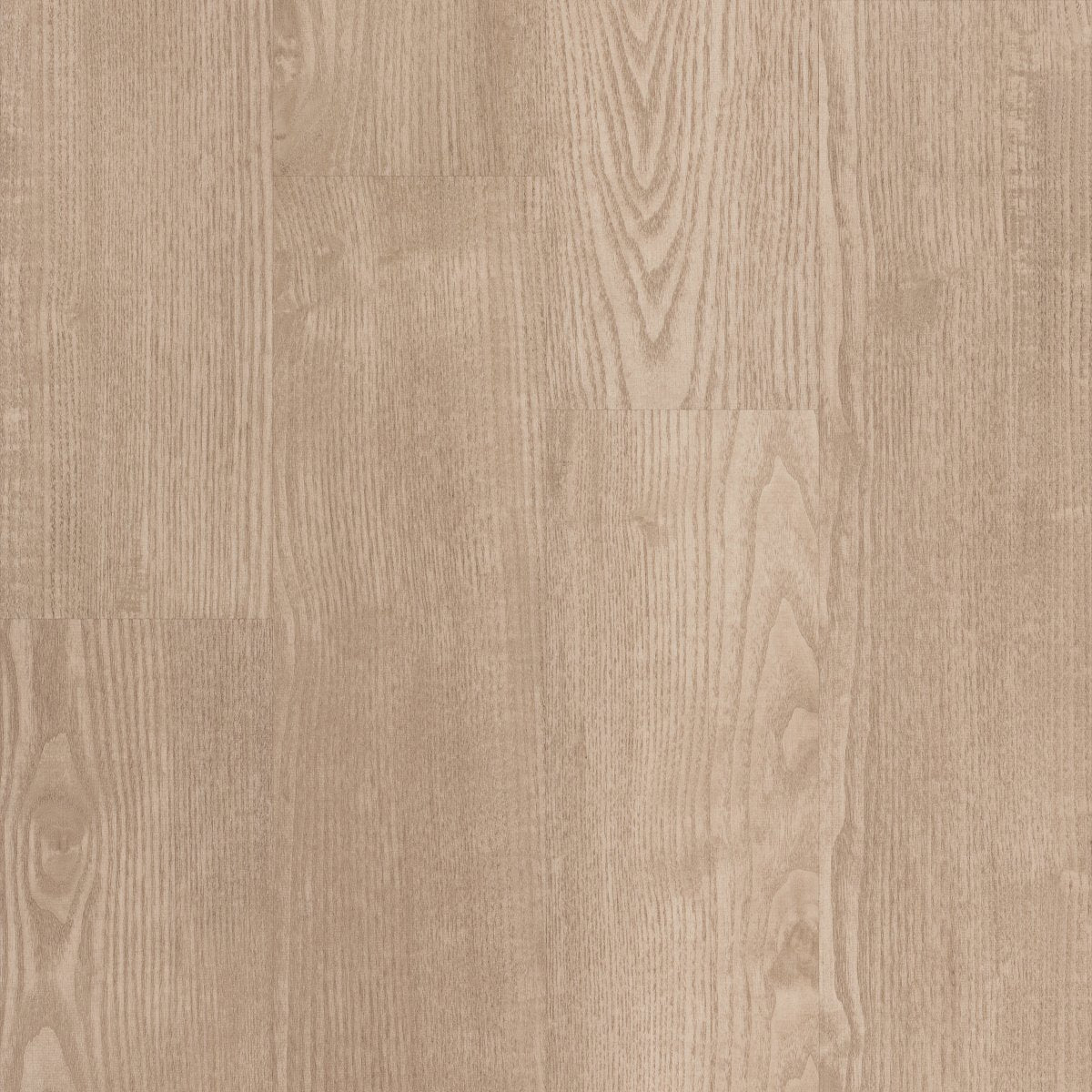 Symbiotic 12 Sandstone 00173
