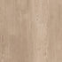 Symbiotic 12 Sandstone 00173