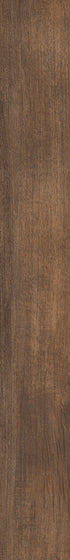 Symbiotic 12 Thicket 05019