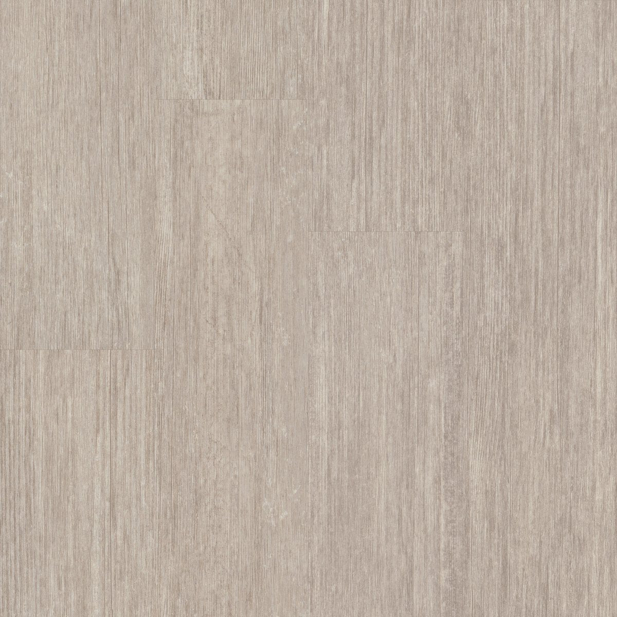 Symbiotic 20 Grain 00116