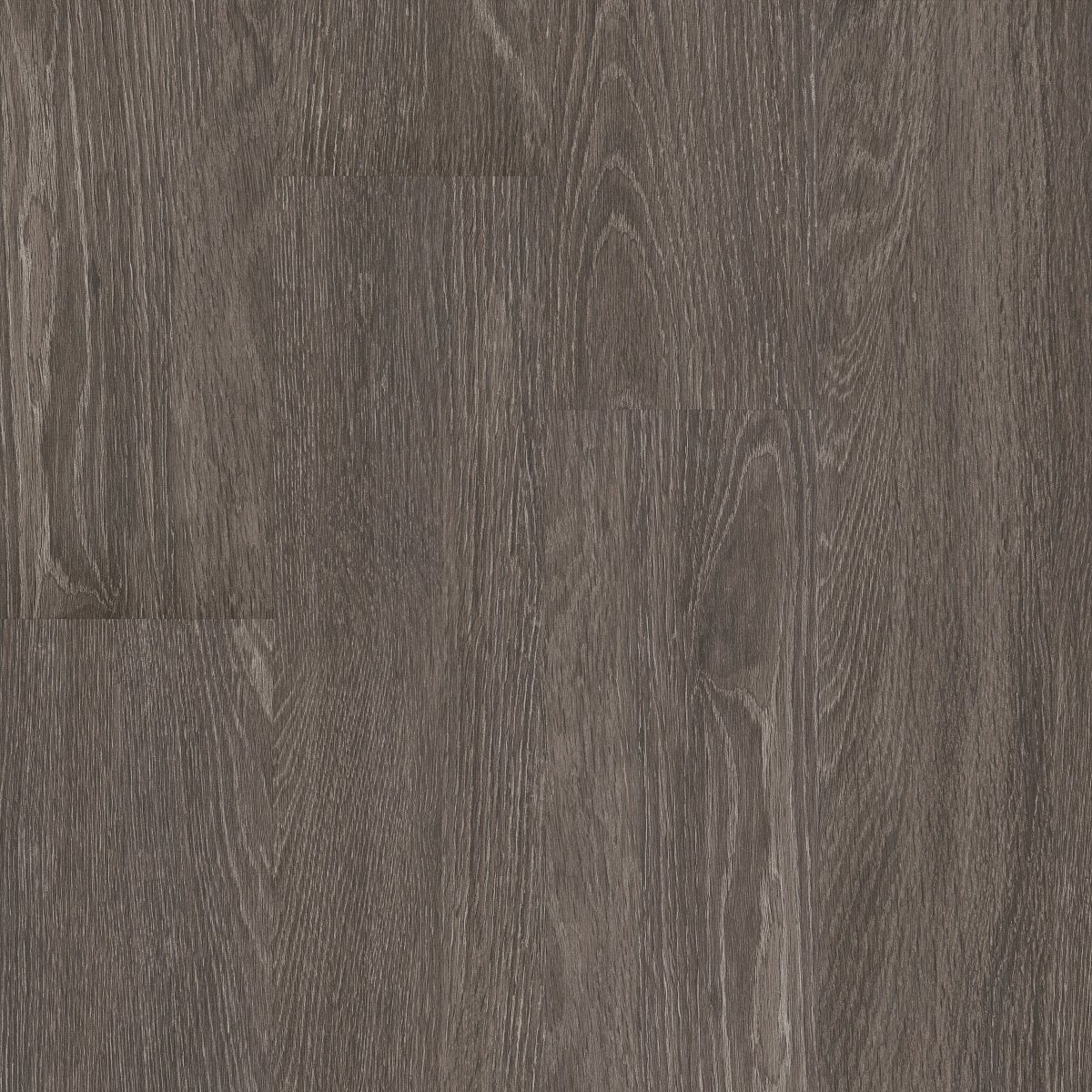 Symbiotic 30 Carbon 00564
