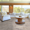 Shaw Floorte Pro Paragon Tile Plus - Pebble 12"x24" - GreenFlooringSupply.com