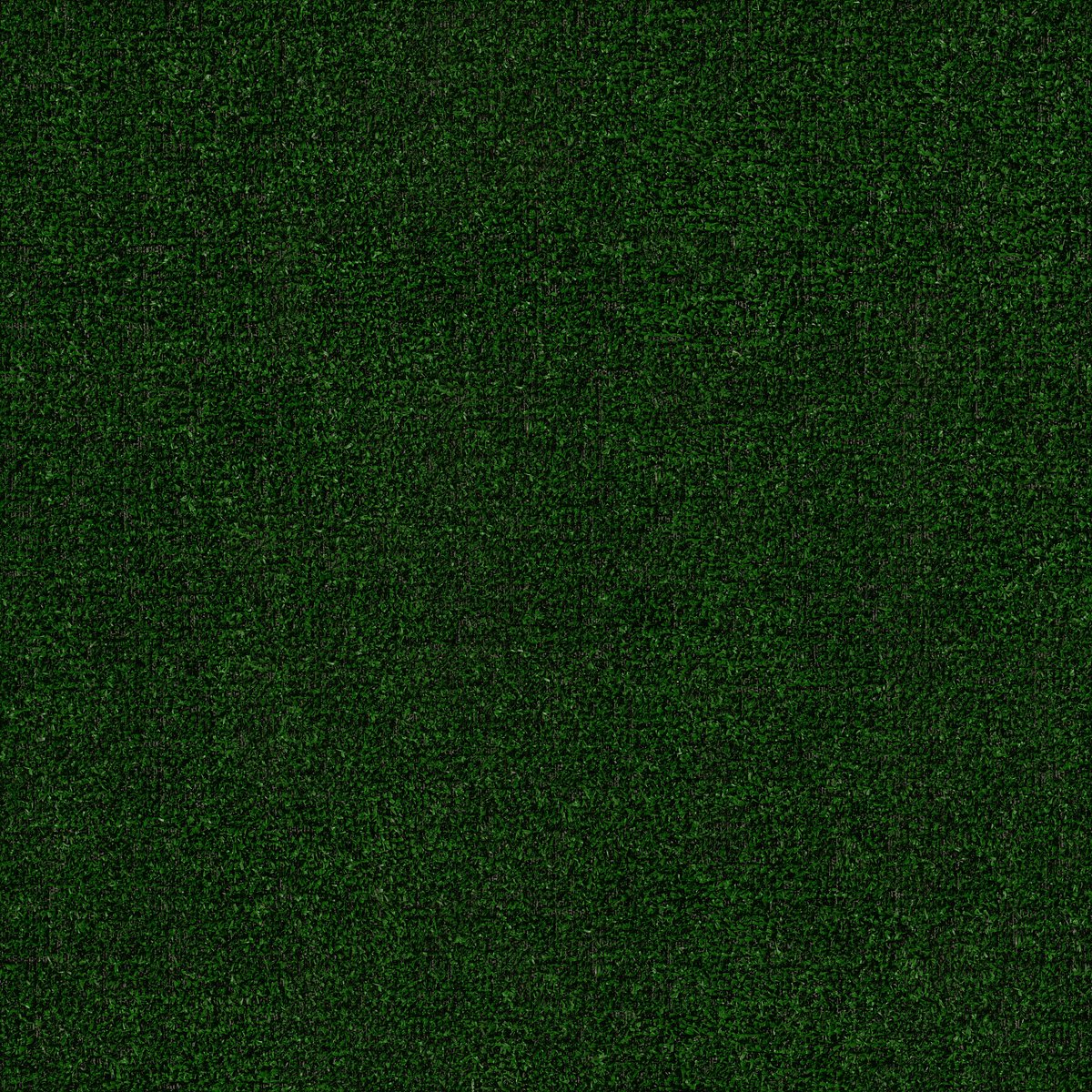 Tactic I Holly Leaf 00310