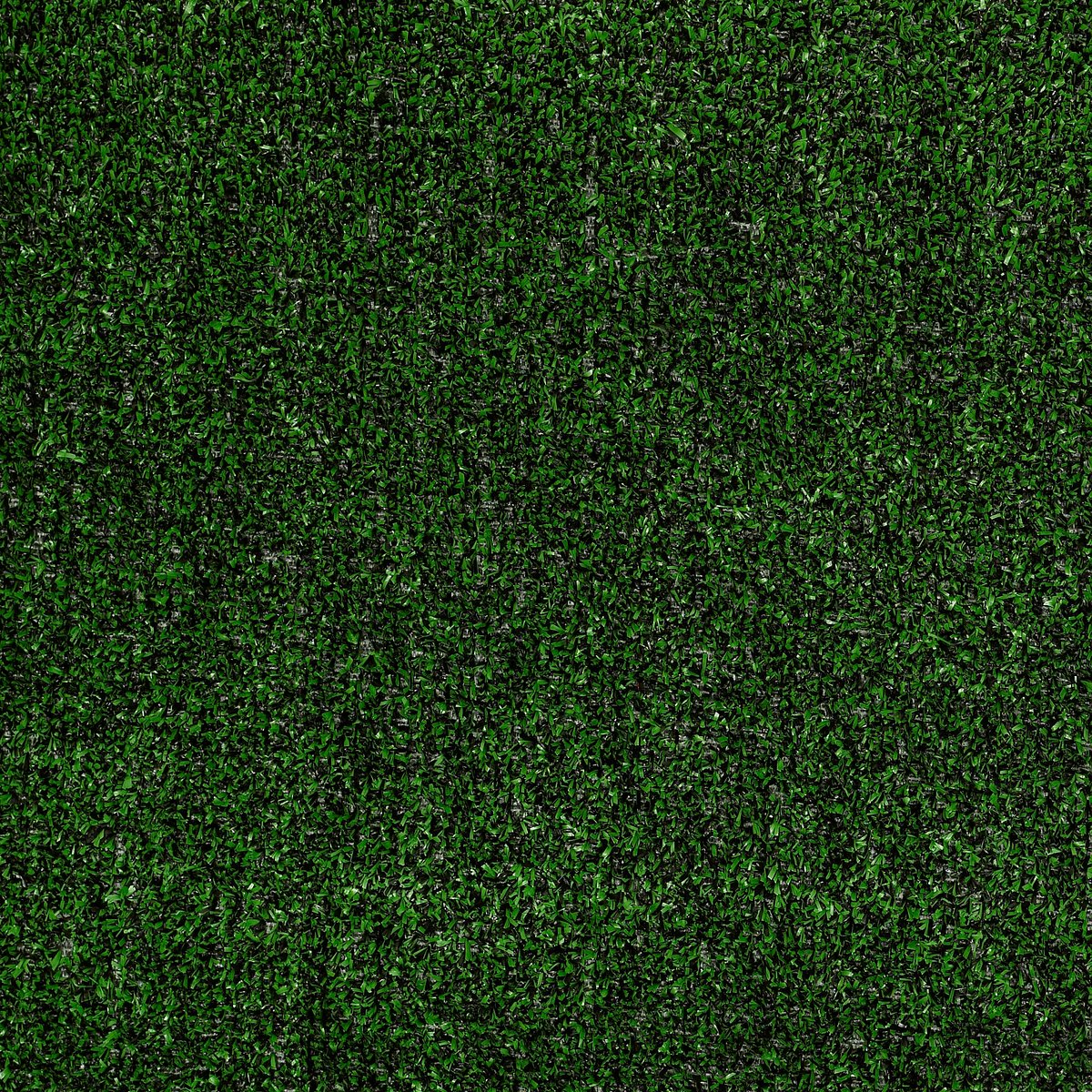 Tactic (T) 6' RR Holly Leaf 00310