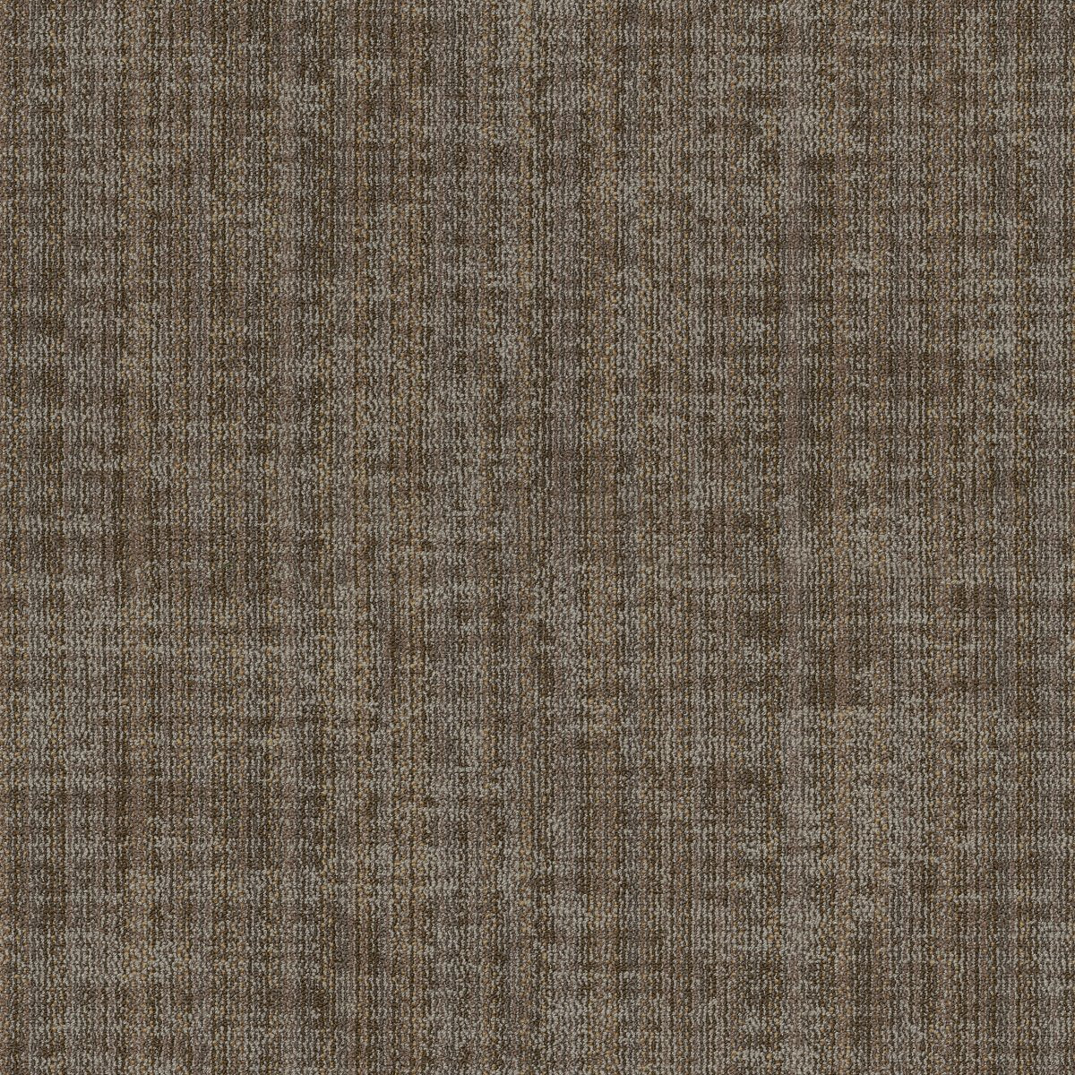 Terrena Canopy 00710