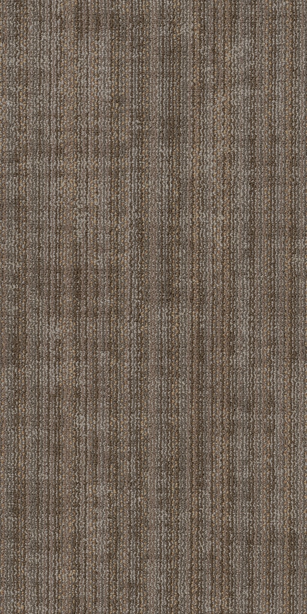 Terrena TL Canopy 00710
