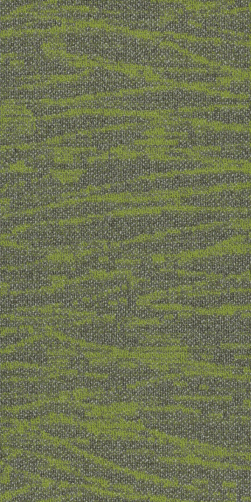 Tidewater Taiga 00315