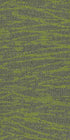 Tidewater Taiga 00315