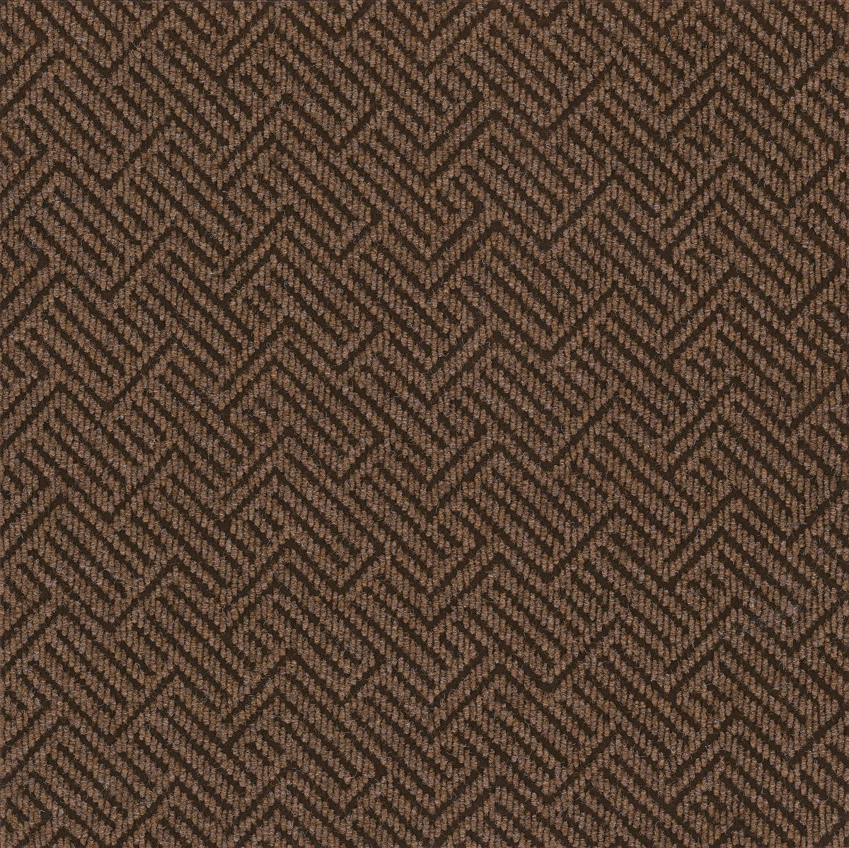 Tread On Me Neutral Ground 00700