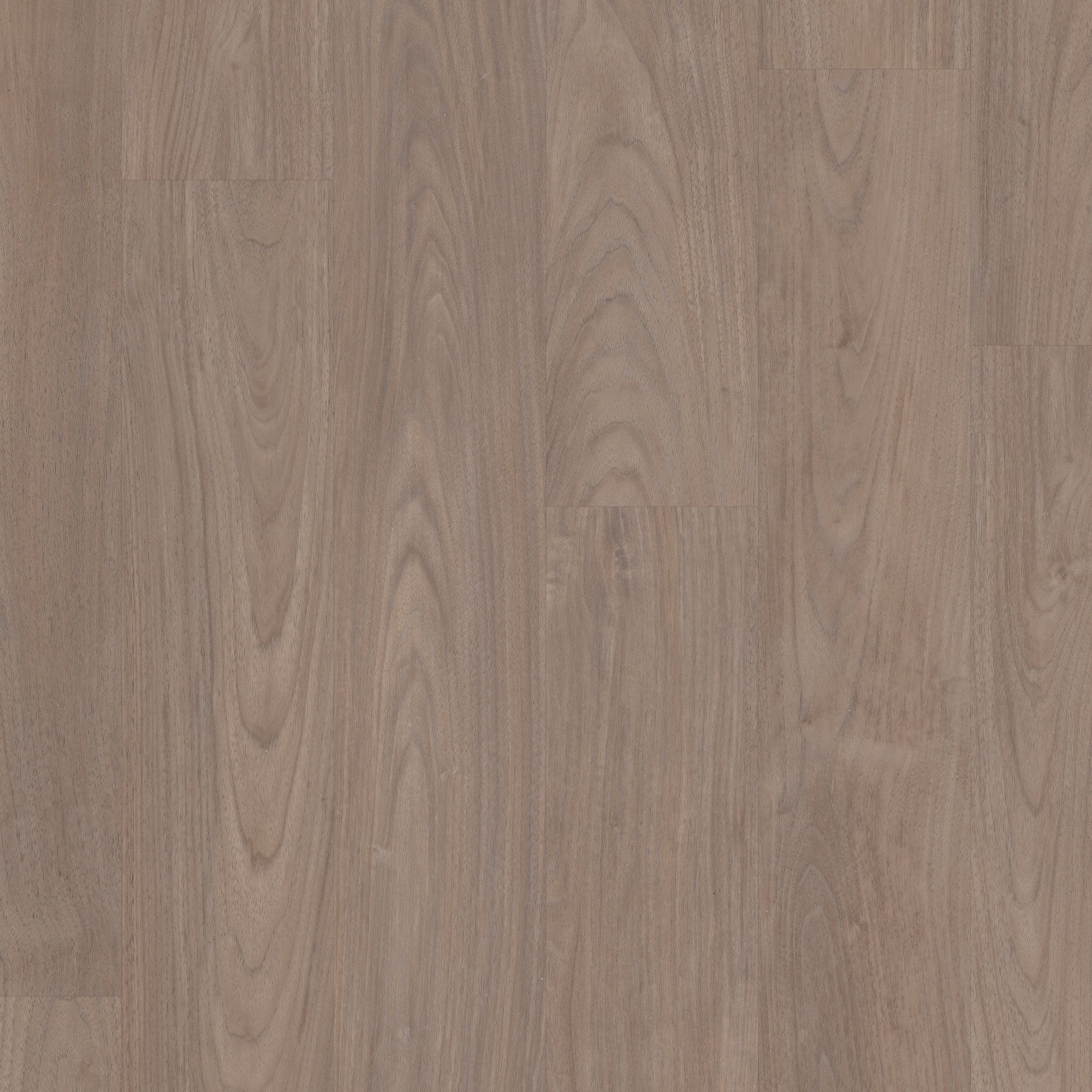 Coretec Plus Premium Integrated Bevel with Softstep – Feather Walnut 7" - GreenFlooringSupply.com