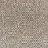 Light Beige 1110