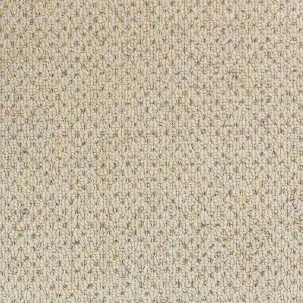 White 8202