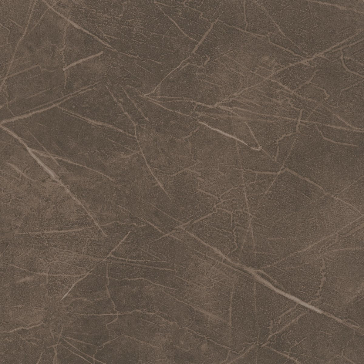 Vecchio Breccia 00724