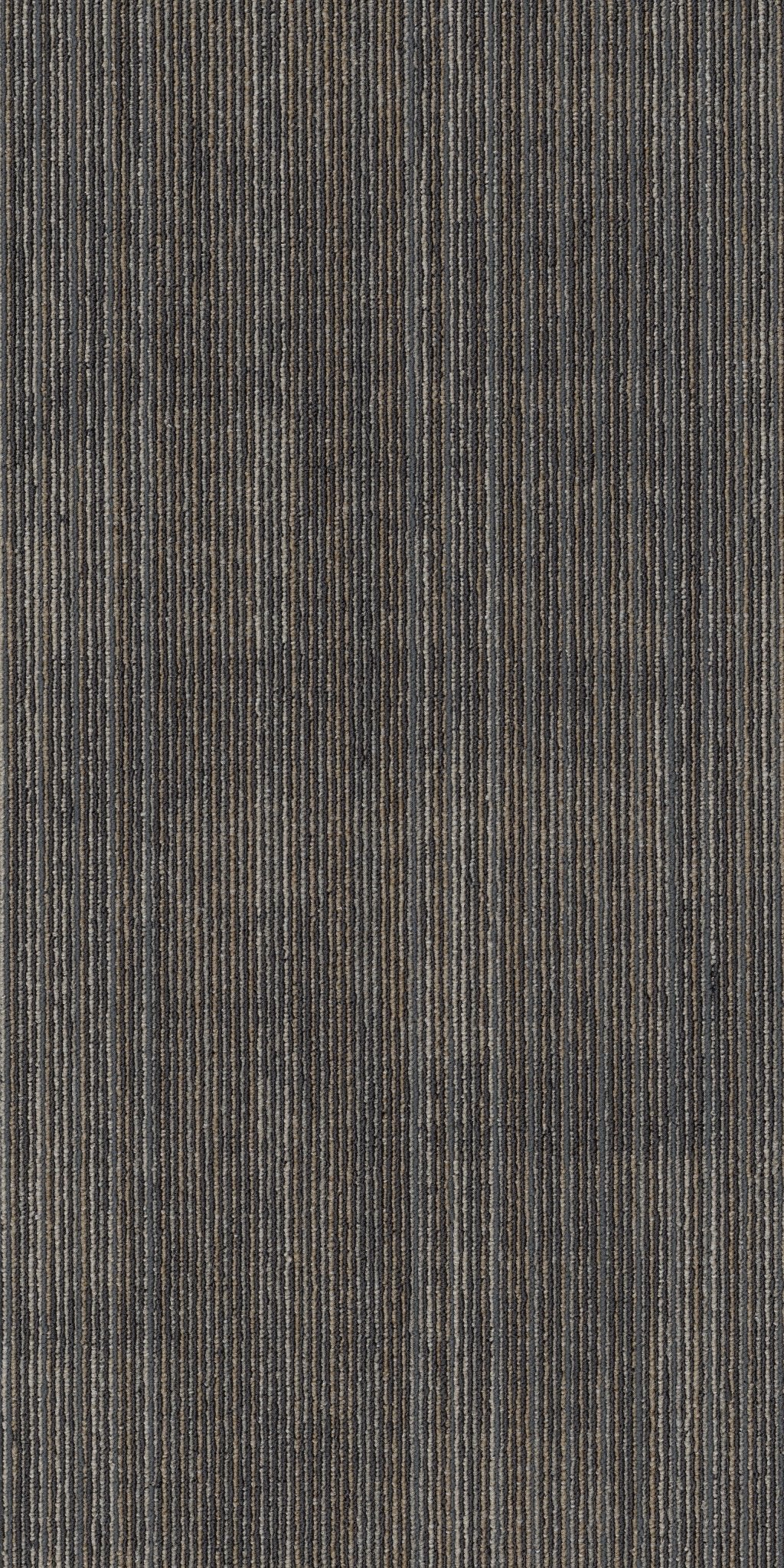 Visibility Reveal 00206