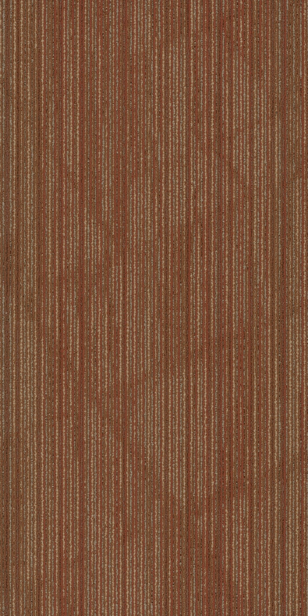 Visionary Vivid 00600
