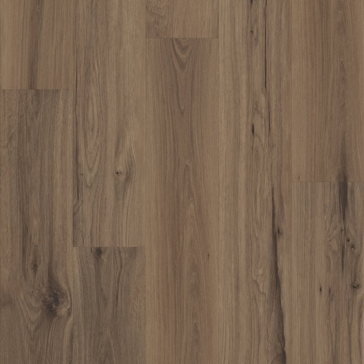 Whisperia Inside Voice 07400