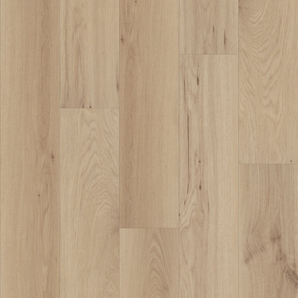 Whisperia Low Key 01248