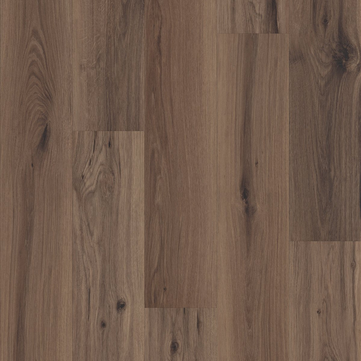 Whisperia Muted Echo 07398