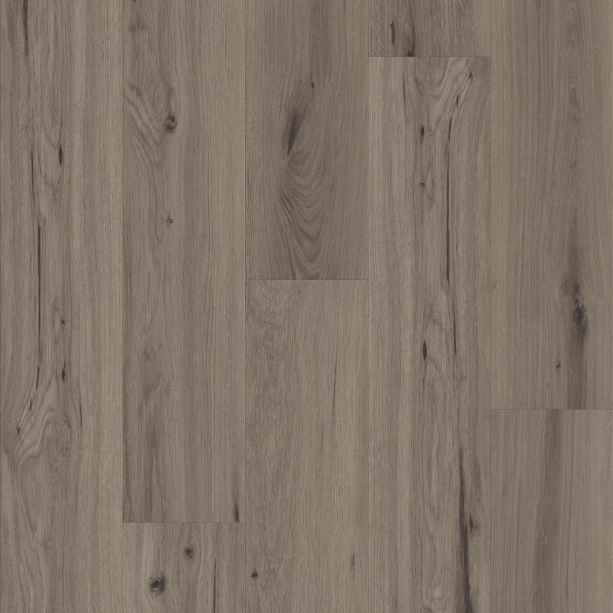 Whisperia Psst 05295