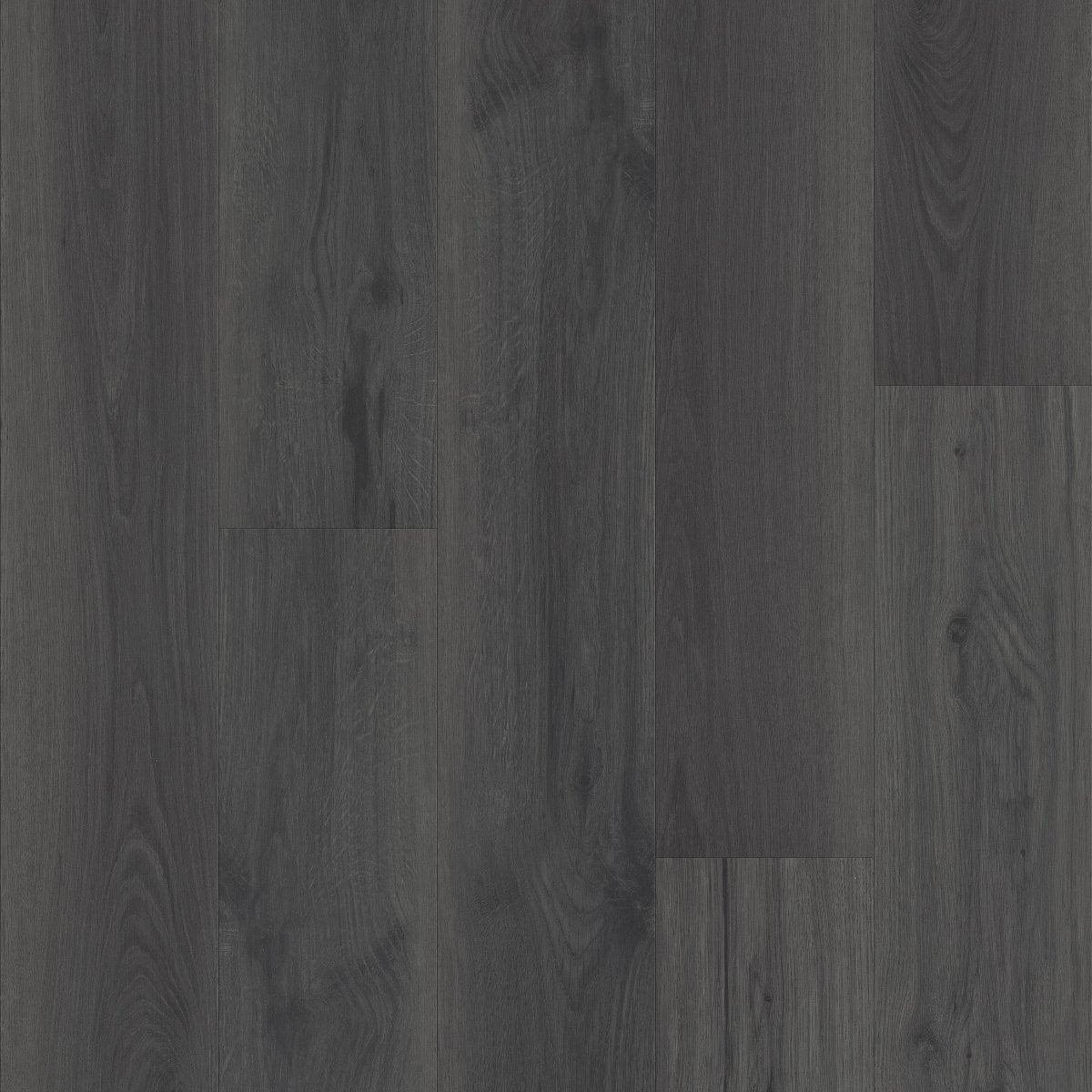 Whisperia Shadow Talk 00950