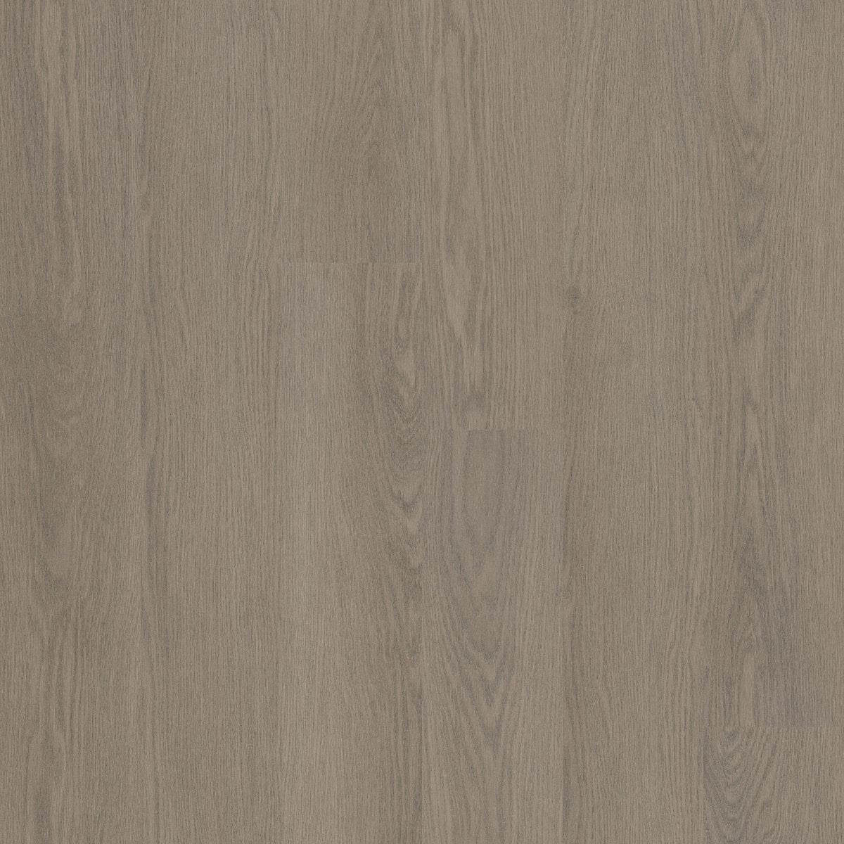 Willow Oak 12 Mil Dovetail Oak 01230