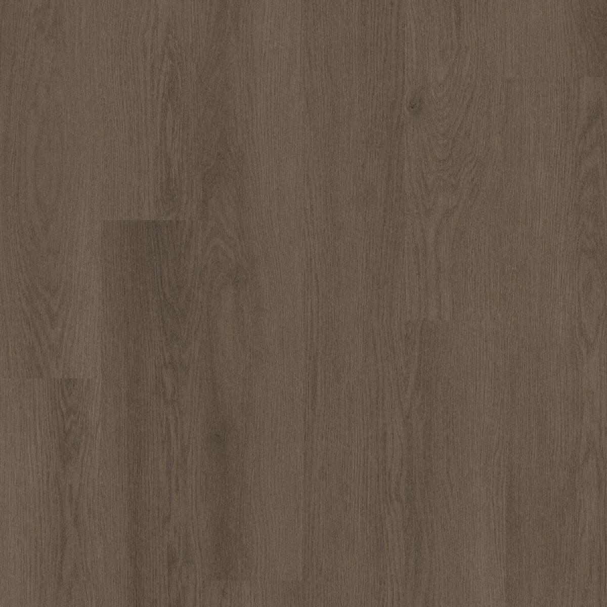 Willow Oak 12 Mil Foothills Oak 07368